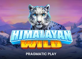 Himalayan Wild - STONEBET88
