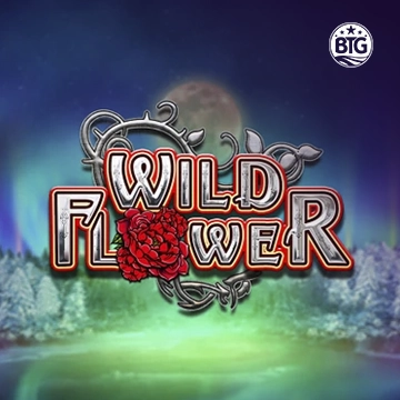 Bigtime : Wild Flower - STONEBET88