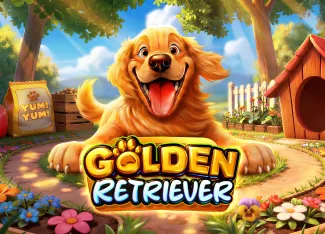 Golden Retriever - STONEBET88