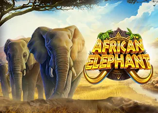 African Elephant - STONEBET88